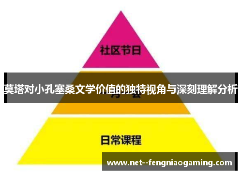 莫塔对小孔塞桑文学价值的独特视角与深刻理解分析