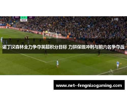 诺丁汉森林全力争夺英超积分目标 力拼保级冲刺与前六名争夺战