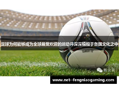 足球为何能够成为全球最受欢迎的运动并深深植根于各国文化之中