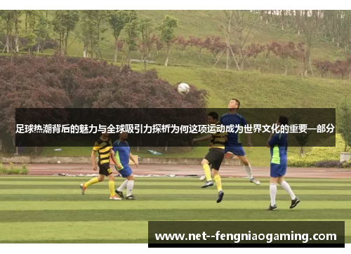 足球热潮背后的魅力与全球吸引力探析为何这项运动成为世界文化的重要一部分