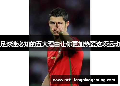 足球迷必知的五大理由让你更加热爱这项运动