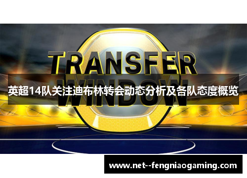 英超14队关注迪布林转会动态分析及各队态度概览