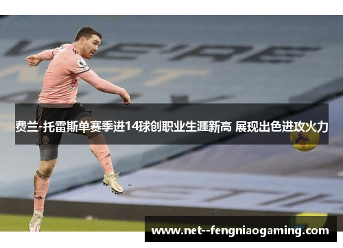 费兰-托雷斯单赛季进14球创职业生涯新高 展现出色进攻火力 费兰-托雷斯单赛季进14球创职业生涯新高 展现出色进攻火力