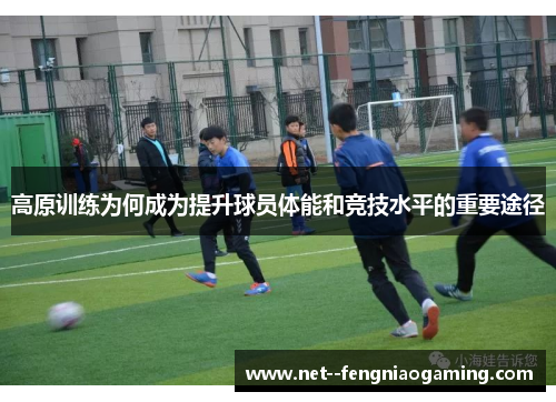 高原训练为何成为提升球员体能和竞技水平的重要途径